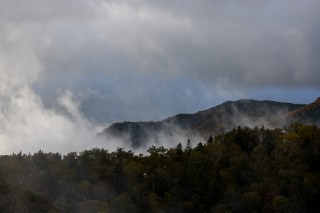 「無題」のサムネイル画像