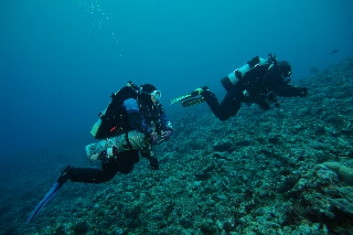 「無題」のサムネイル画像