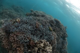 「無題」のサムネイル画像