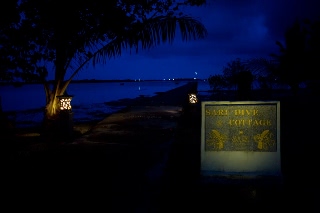 「無題」のサムネイル画像