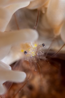 「無題」のサムネイル画像