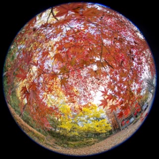 「無題」のサムネイル画像