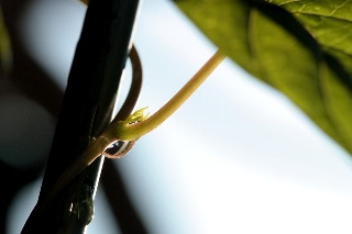 「無題」のサムネイル画像