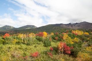 「無題」のサムネイル画像