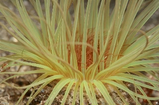 「無題」のサムネイル画像