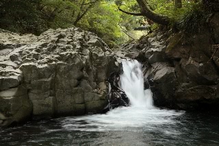 「カニ滝」のサムネイル画像