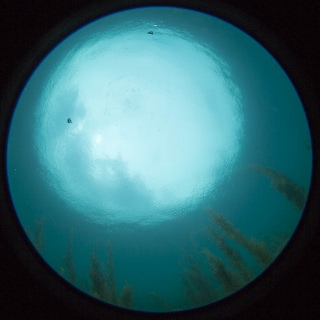 「無題」のサムネイル画像