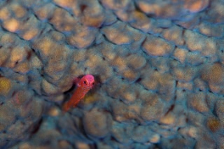 「無題」のサムネイル画像