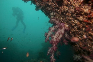 「無題」のサムネイル画像
