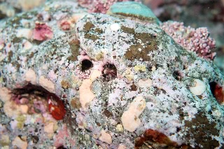 「無題」のサムネイル画像