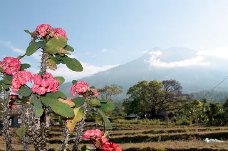 「無題」のサムネイル画像