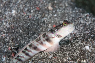 「無題」のサムネイル画像