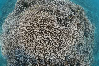 「無題」のサムネイル画像