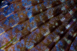 「無題」のサムネイル画像