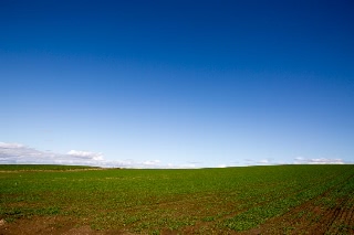 「無題」のサムネイル画像