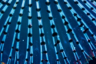 「無題」のサムネイル画像