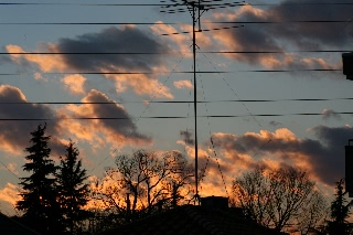 「無題」のサムネイル画像