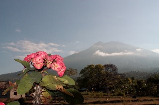「無題」のサムネイル画像