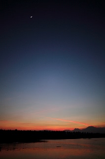 「無題」のサムネイル画像