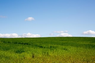 「無題」のサムネイル画像