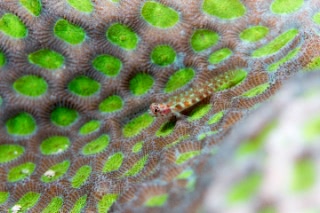 「無題」のサムネイル画像