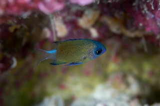 「無題」のサムネイル画像