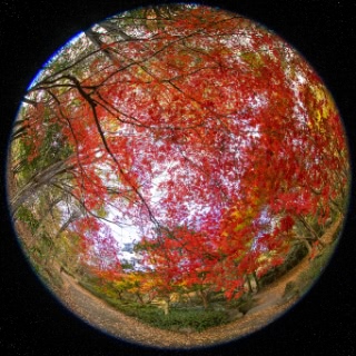 「無題」のサムネイル画像