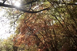 「無題」のサムネイル画像