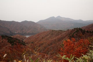 「無題」のサムネイル画像