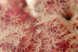 「無題」のサムネイル画像