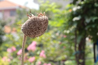 「TITAN(タイタン)」のサムネイル画像