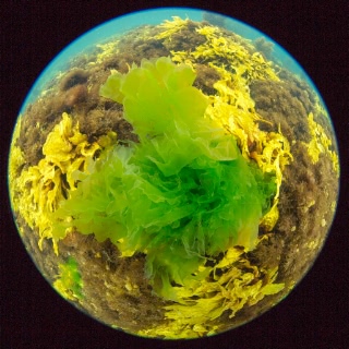 「無題」のサムネイル画像