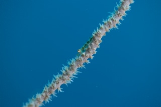 「無題」のサムネイル画像