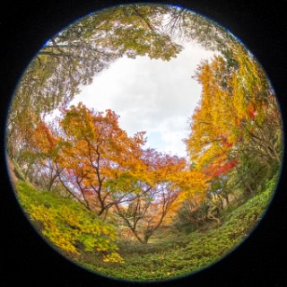 「無題」のサムネイル画像