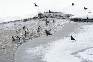 「無題」のサムネイル画像