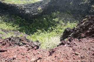 「無題」のサムネイル画像