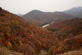 「無題」のサムネイル画像