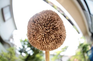 「TITAN(タイタン)」のサムネイル画像