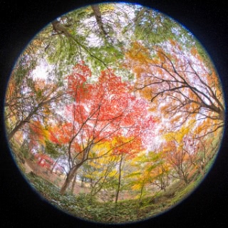 「無題」のサムネイル画像