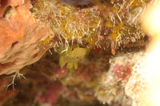 「無題」のサムネイル画像