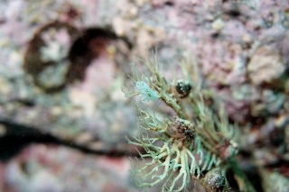 「無題」のサムネイル画像