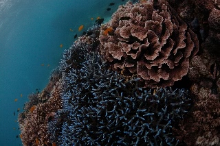 「無題」のサムネイル画像