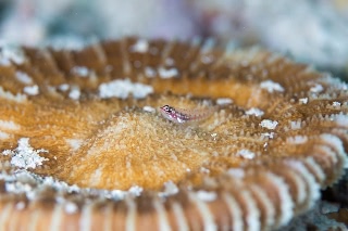 「無題」のサムネイル画像