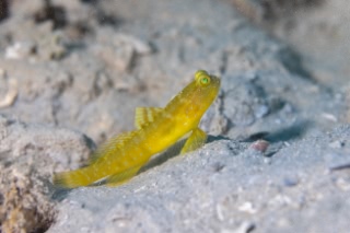 「無題」のサムネイル画像