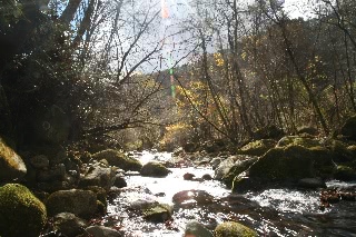 「吐龍の滝下流」のサムネイル画像