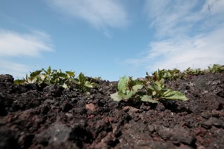 「無題」のサムネイル画像