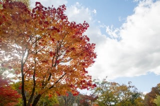 「無題」のサムネイル画像