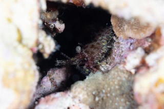 「無題」のサムネイル画像