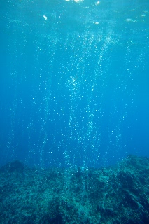 「無題」のサムネイル画像