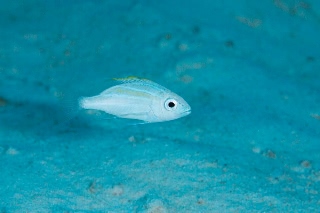 「無題」のサムネイル画像